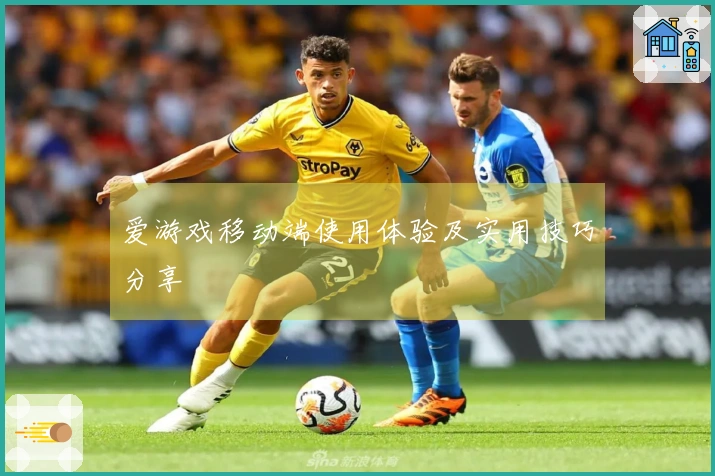 爱游戏移动端使用体验及实用技巧分享